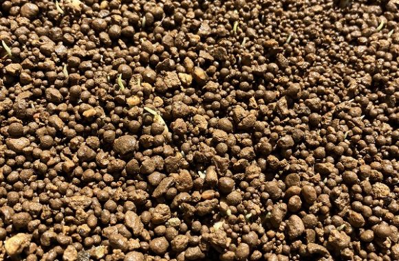 棚ごこち2025年のスタート