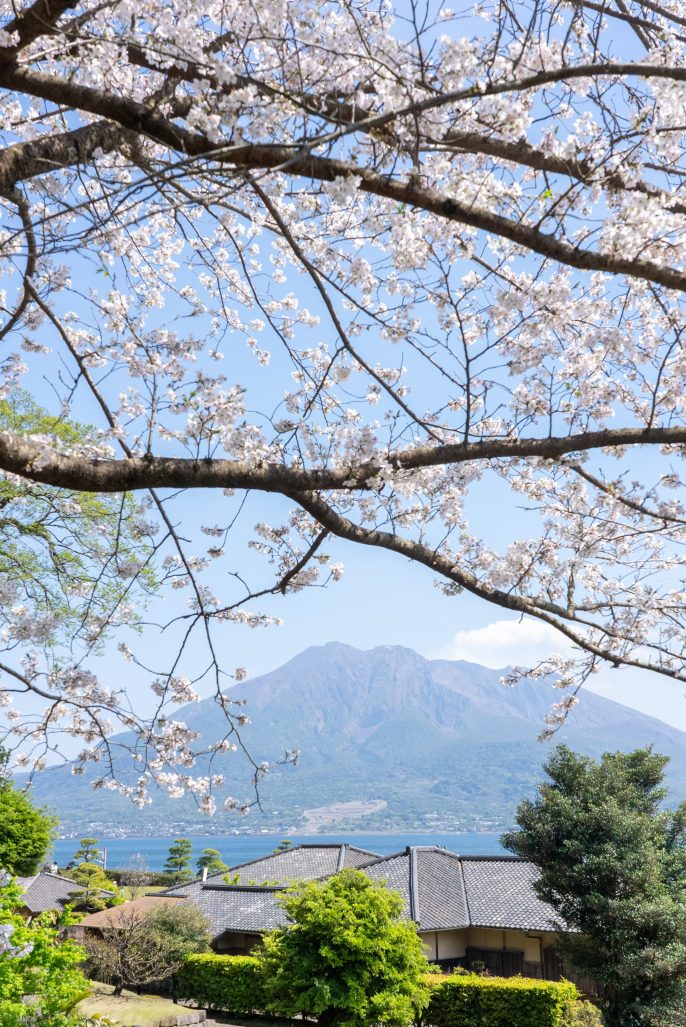 お城めぐり・鹿児島城
